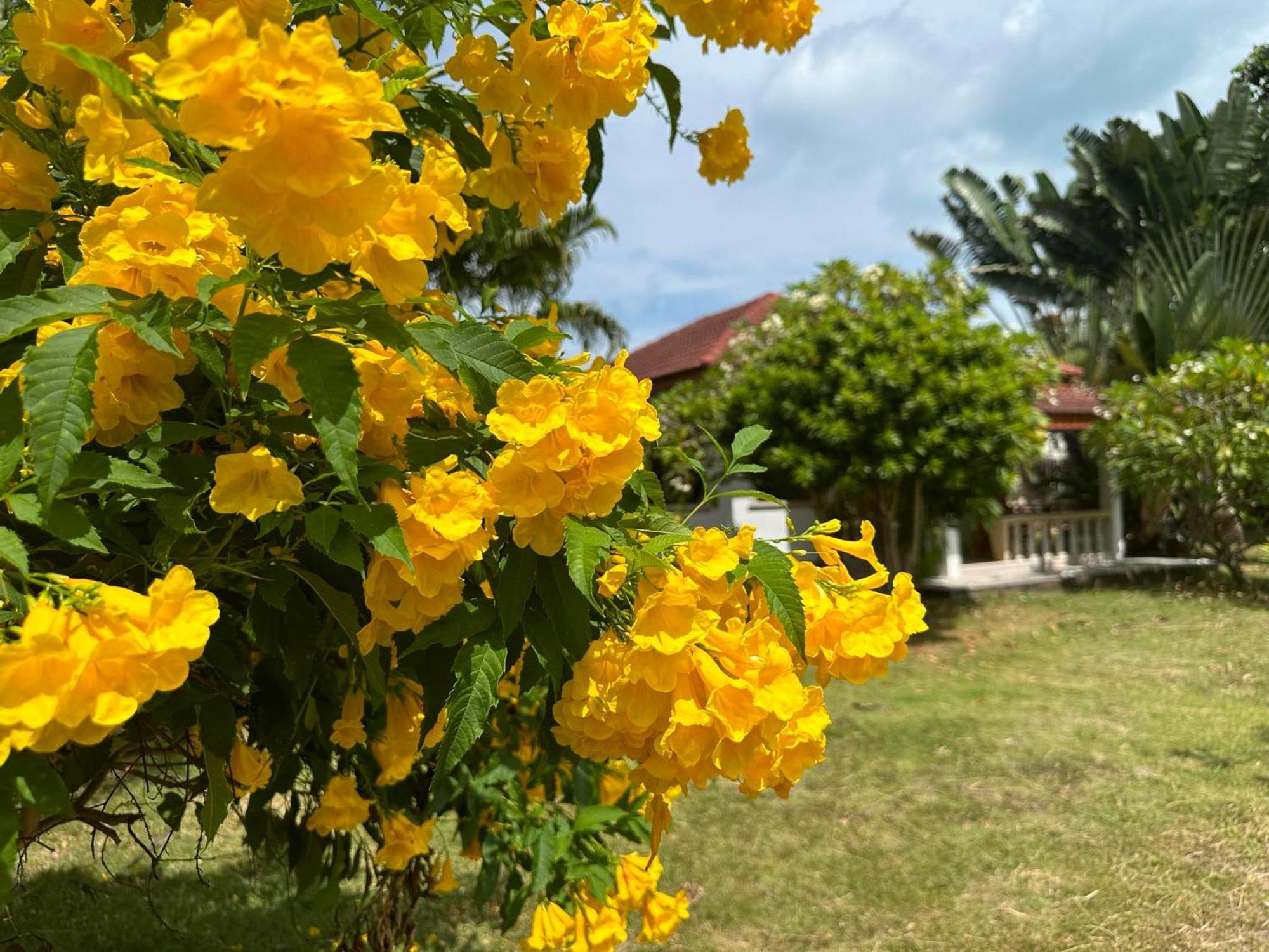 Samui Garden Resort Bang Rak Beach  Exterior foto