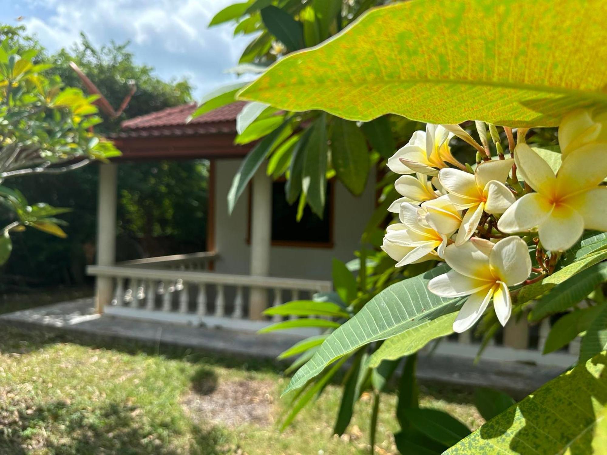 Samui Garden Resort Bang Rak Beach  Exterior foto