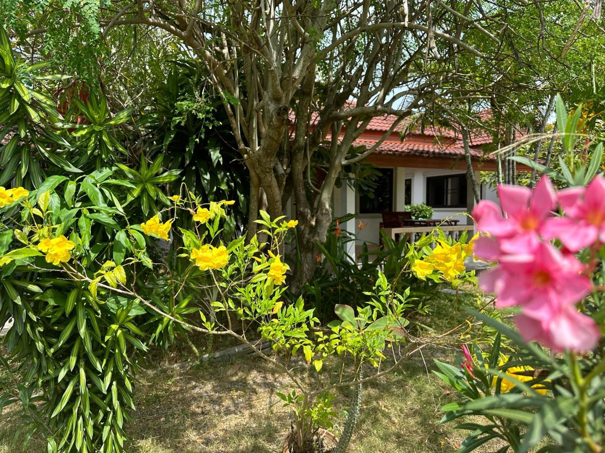 Samui Garden Resort Bang Rak Beach  Exterior foto